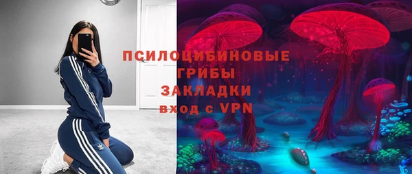 мдпв Володарск