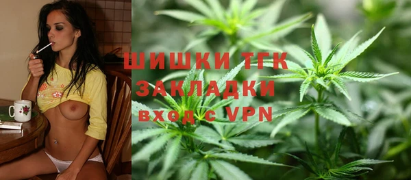 мдпв Володарск