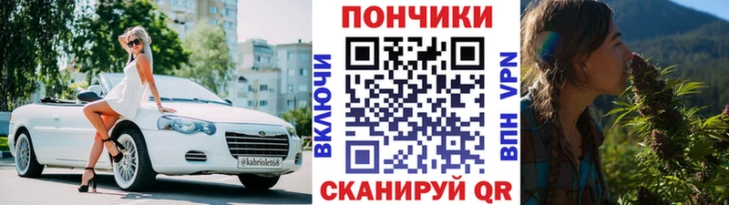 где продают наркотики  Ставрополь  Шишки марихуана планчик 